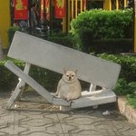 이목구비 흐리멍텅하면 립 바를 때