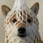 Summer (<b>Feat</b>. BE'O)