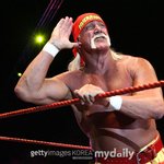'WWE 전설' <b>헐크</b> 호건 별세…트럼프 "정말 그리울 것" 애도...