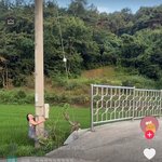 5주동안 할 다이어트 <b>식단</b> 정함