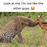 [19] 나 웃으면 <b>오줌</b>이 조금씩 새는것같아