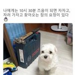 <b>슈프림</b> 시켯던 쓰니인데