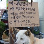 아  그냥   ㅈㄴ 헷갈린다