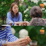 이효리 "개 싸움 말리다 손가락 잘릴 뻔 해"