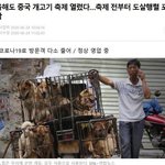 [19] 별로 가고 싶지 않은 <b>축제</b>