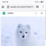 [결혼] 북극여우 찬양하고 <b>극락</b> 찬양하면