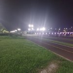 개념없는 캣맘들