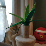 [레이] <b>베리</b>레드톡)