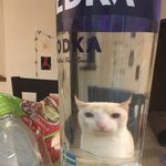 쿠팡 알바 해본 <b>판녀</b>잇음?