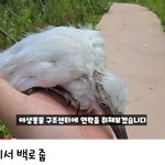 <b>산책</b>하다가