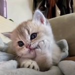 난
