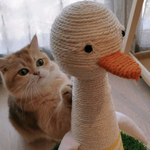 [레이] 베리레드톡)납량<b>특집</b>(?)