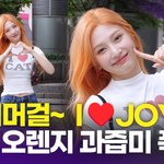 조이, 상큼 오렌지 과즙미 폭발 '핫 써머 걸'(<b>TV</b> 동물농장)