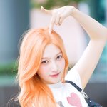 ‘복숭아인 줄 알았더니 체리였던 사건’ (<b>동물</b>농장 출근길) [HD포토]