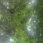 <b>벤치</b>에 누우면 이렇게 보인다