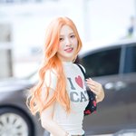 ‘시선 사로잡는 여름 컴백 비주얼’ (<b>동물</b>농장 출근길) [HD포토]