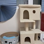 나의 동거묘 도칠아 캣타워 &amp; <b>터널</b>