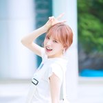 ‘새하얀 뽀짝 말티쥬’ (웬디의 영스트리트 출근길) [<b>HD</b>포토]