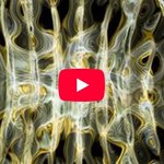 지구와 우주에 대한 새로운 관점