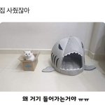 오빠는 <b>모나리자</b>랑