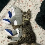 [아<b>바다</b>] 라고 햇던가 그럼 내눈물