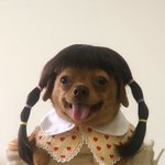 [댓글부탁해] 너네라면 <b>쌍수</b>하니