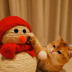 [레이] <b>베리</b>레드톡)