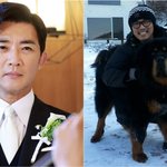 안재욱, 드라마 잘 마쳤는데…안타까운 <b>비보</b>에 '충격'