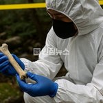 지리산서 하산 중 <b>실종</b>된 국립공원 직원, 뼛조각 일부 발견…경찰...