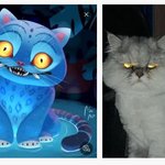 집에 케이팝데몬헌터스 <b>호랭이</b> 있음