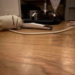 <b>취침</b>자세완료