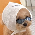 언제든 어디라도