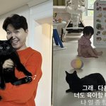 ‘박수홍김다예’ 반려묘 다홍이에 딸 육아 <b>위임</b> “나 일 좀 할게” 벌써...