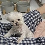 아