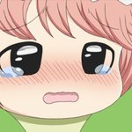 이번주 혼<b>코노</b> 4번이나 감