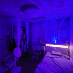 [바닷가] 강아지 찾아<b>바라</b>