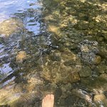 [혼자하는말] <b>계곡</b>