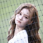 설윤 머리 염색함!