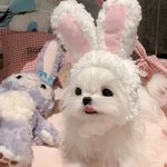 아직 보고싶고