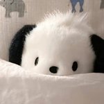 얼굴이라도 볼수있는