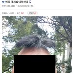오늘자 <b>헤어</b>갤 레전드