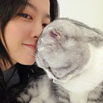 박보영, 고양이와 사랑스러운 뽀뽀‥여친짤의 <b>정석</b>