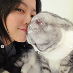 박보영도 한 ‘고양이 키스’, 우리 집 냥이는 왜 나를 피할까?