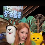 오늘자 <b>동물</b>농장 레드벨벳 조이박수영