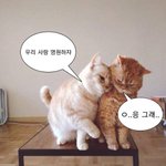 <b>한번</b>