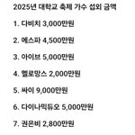 2025년 대학교 축제 가수 <b>섭외</b> 금액