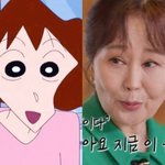 26년만 하차한다…대장암·간암 투병에 응원 <b>물결</b> [엑's 이슈]