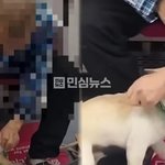 <b>청량리</b>행 지하철서 강아지에 물파스 학대…눈·코까지 문질러 (+동물학대...