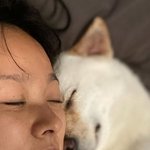 이효리는 좋겠네, 곁에 <b>미달</b>이가 있어서…