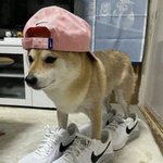 아니 <b>여돌</b>이 ㅈ꼭ㅈ 피어싱 하는 거